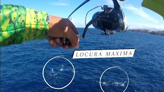 Puro spinning (Mahi mahi on Canary Islands) LOCURA MAXIMA...