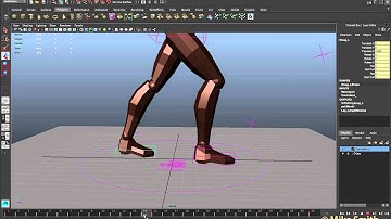 Maya - Starting a Walk Cycle