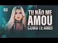 ERA PRA SER MEU AMOR MAS TU NÃO ME AMOU COMO EU TE AMEI - LIENE SHOW