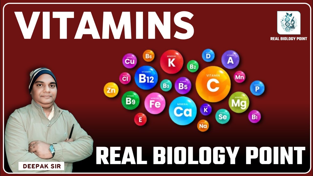 Vitamins | Real Biology Point | #biology #vitamin - YouTube