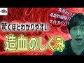 造血の仕組みと血液がんの発生を血液内科医がスーパーわかりやすく解説!!