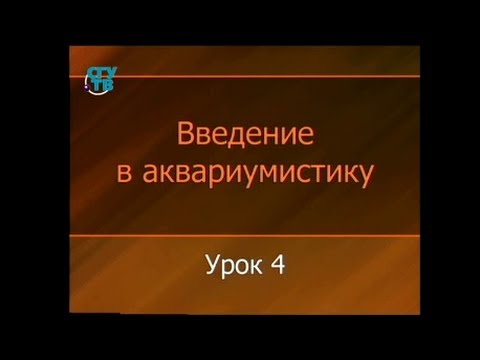 Аквариумистика. Урок 4. Оборудование и уход за аквариумом Аквариумистика. Урок 4. Оборудование и уход за аквариумом