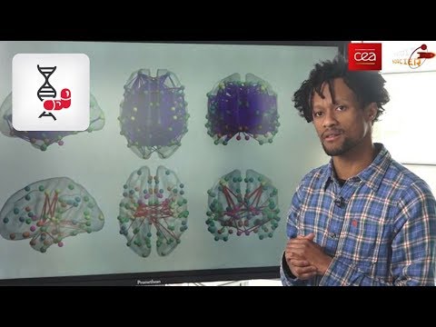 [Interview] Cerveau - L'autisme et l'imagerie cérébrale