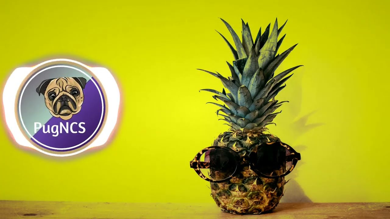 The Funk – Hotham (No Copyright Music)