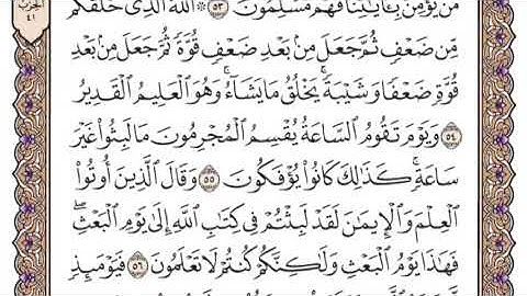 سورة الروم الشيخ ياسر الدوسري صفحة ٤١٠
