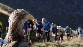 UTMB 2015 - Eagle's Point of View / Flight Over UTMB
