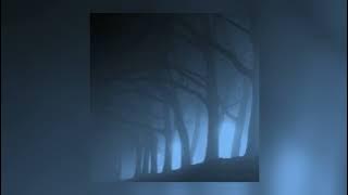 willix - the voices, I hear them... // sped up   reverb