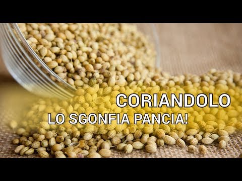 Video: Ricette Al Coriandolo