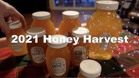 Michigan Honey Harvest! Pulling Honey Supers, Extracting, and Bottling!