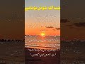 جب اللہ خوش ہوتا ہے #love #deensayings #islamicquotes #muslimcontent