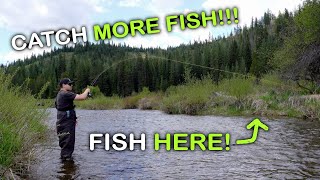 How To Find Trout In A River - Top Secret Revealed !!!