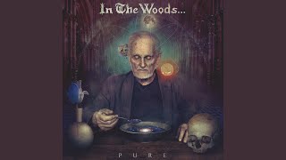 Video thumbnail of "In The Woods... - Blue Oceans Rise (Like a War)"