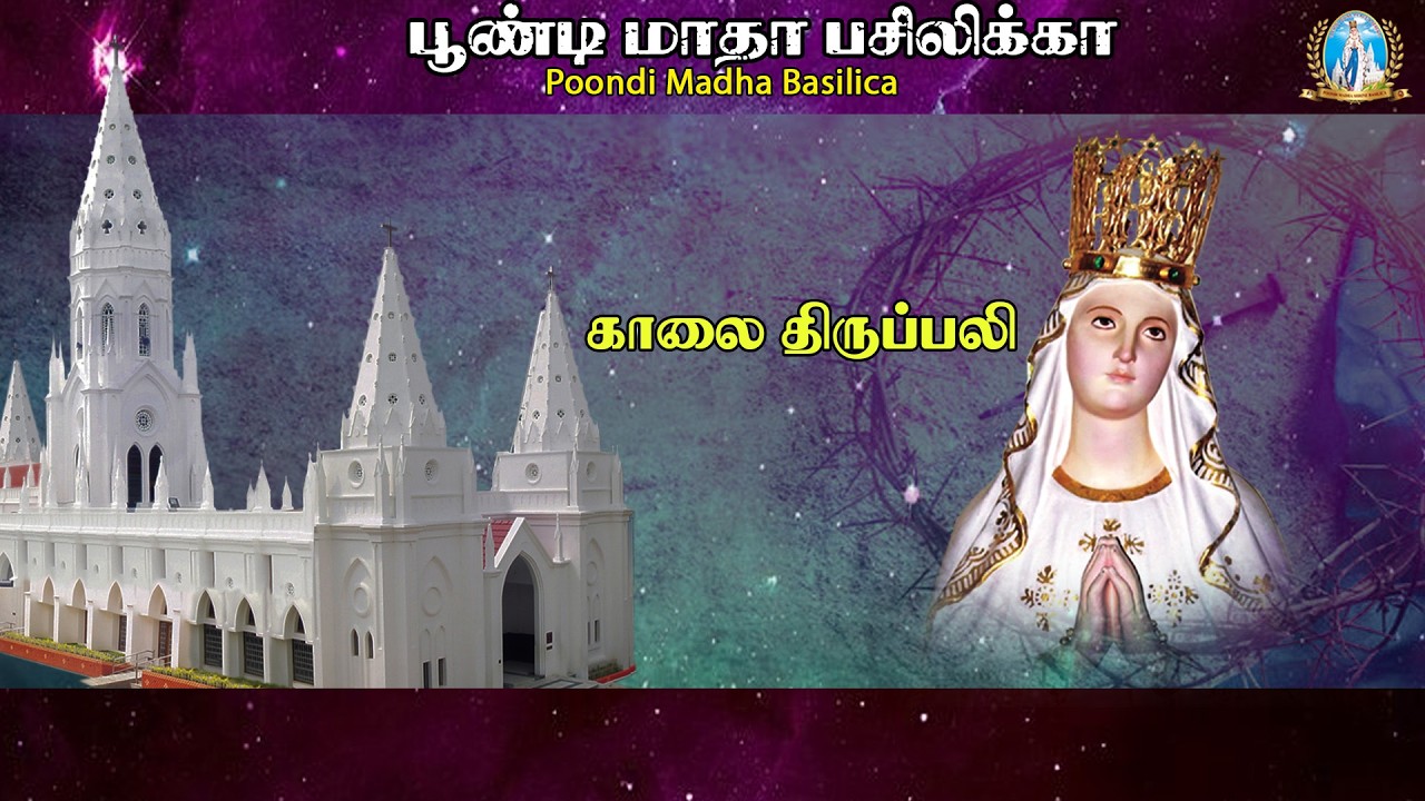 🔴Live | Holy Mass |25.02.2026 | Fr. P.J. Samson, Rector & Parish Priest  | Poondi Madha Basilica