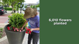 Our Clean, Safe & Beautification Efforts