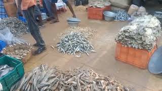 Cuddalore district, karamanikuppam village, dry fish market. #super karuvadu# screenshot 5