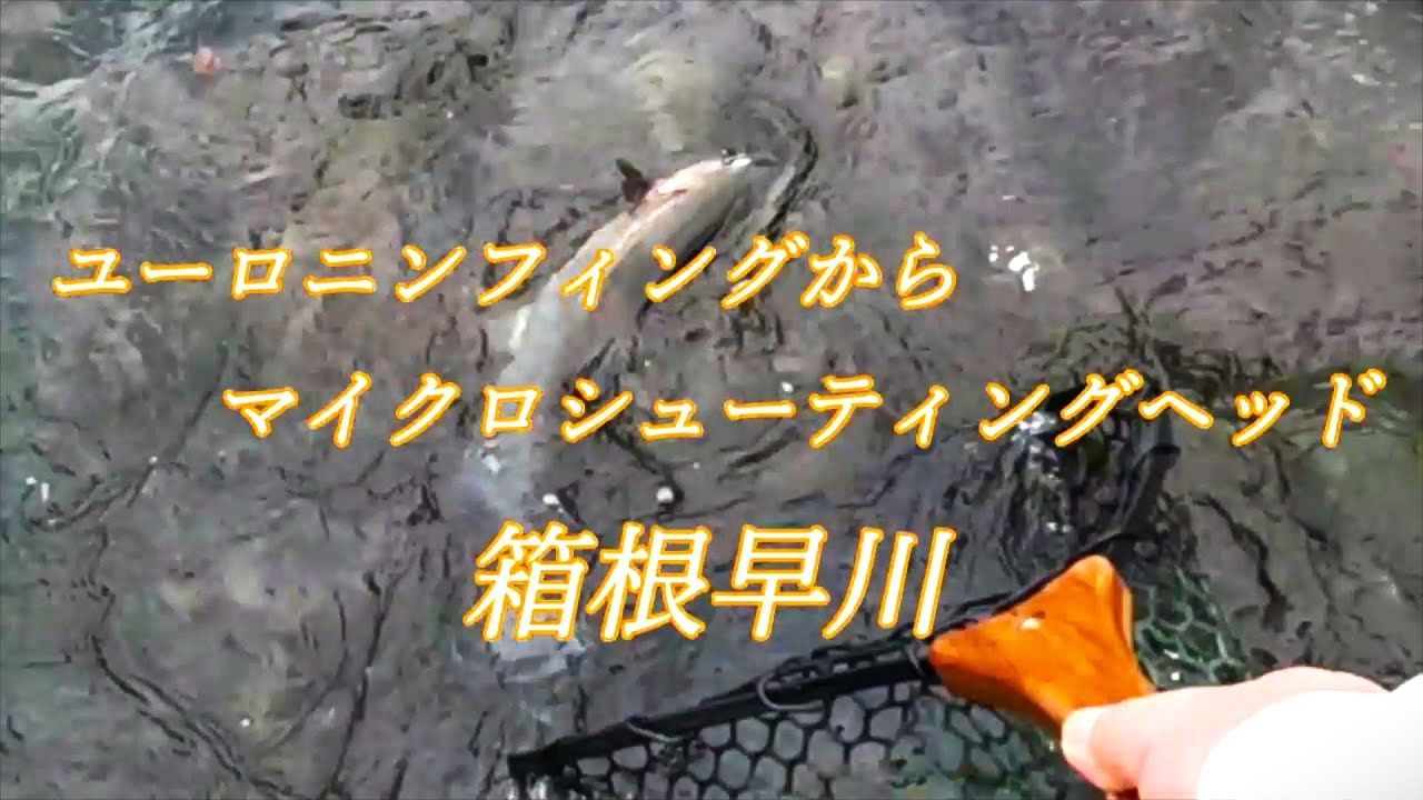 箱根早川 　＃ユーロニンフィング　から　＃マイクロシューティングヘッド　を試す。４月２５日