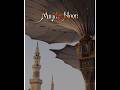 Mujrim Hun Jahan Bhar Kaa Mehshar Me Bharam Rakhna #madinah #status #muhammad #best🌴🌱