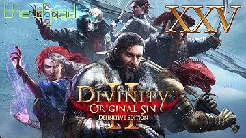 "Definitely the Last Forest Tiger" - PART 25 - Divinity: Original Sin II: Definitive Edition