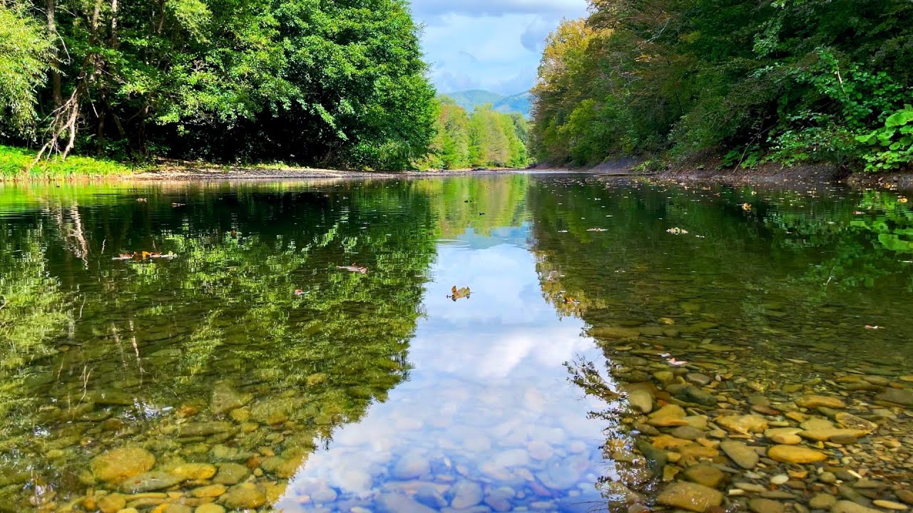 Discover the Most Beautiful Calm River in the Mountains! - YouTube