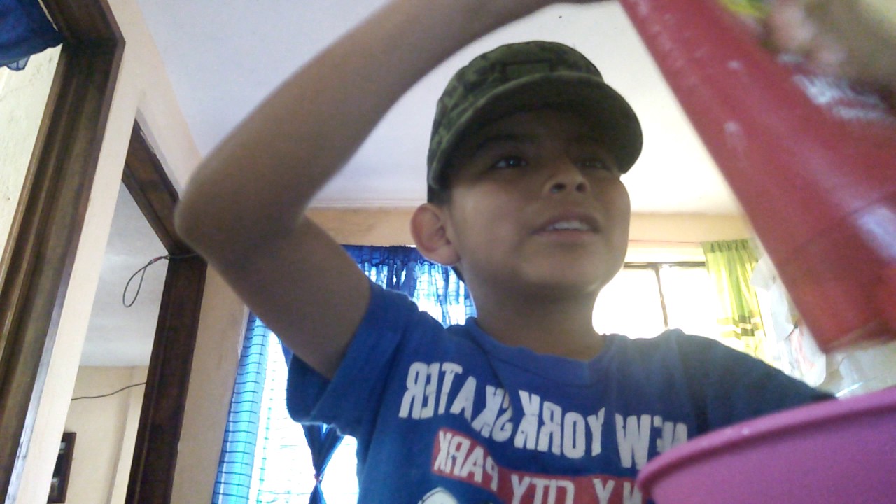 Cómo hacer silime:con shampoo y sal: superviviente