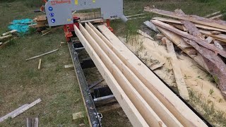 NO MORE ANTS: Milling a Pine Log With My Timbery M100