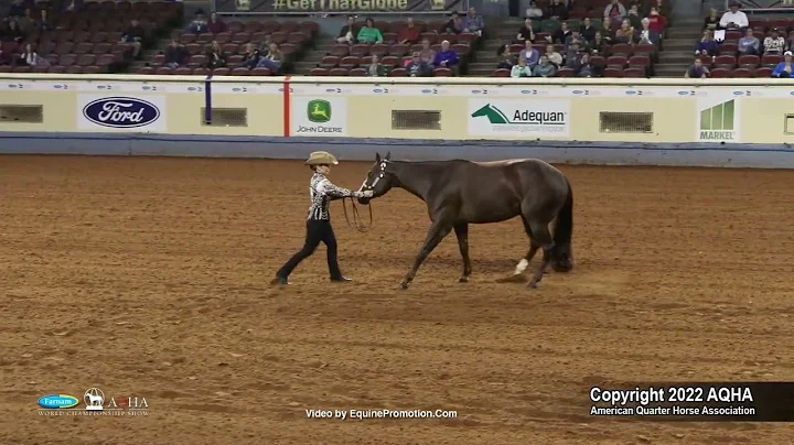 2022 Farnam AQHA and Adequan Select World Amateur ...