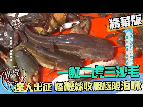 【桃園】達人出征永安漁港 花式釣法趕海收穫極品海味（烏魚、海鯰、狗公魚、勾勾纏海蟹）｜《世界第一等》1046集精華版
