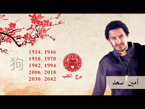 امين سعد برج الكلب قراءة عامة والفرق بين المراة والرجل الكلب اعرف برج الصينى من سنة ميلادك