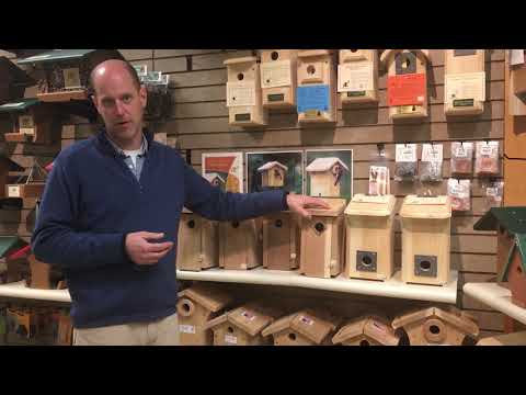 Bird House Basics