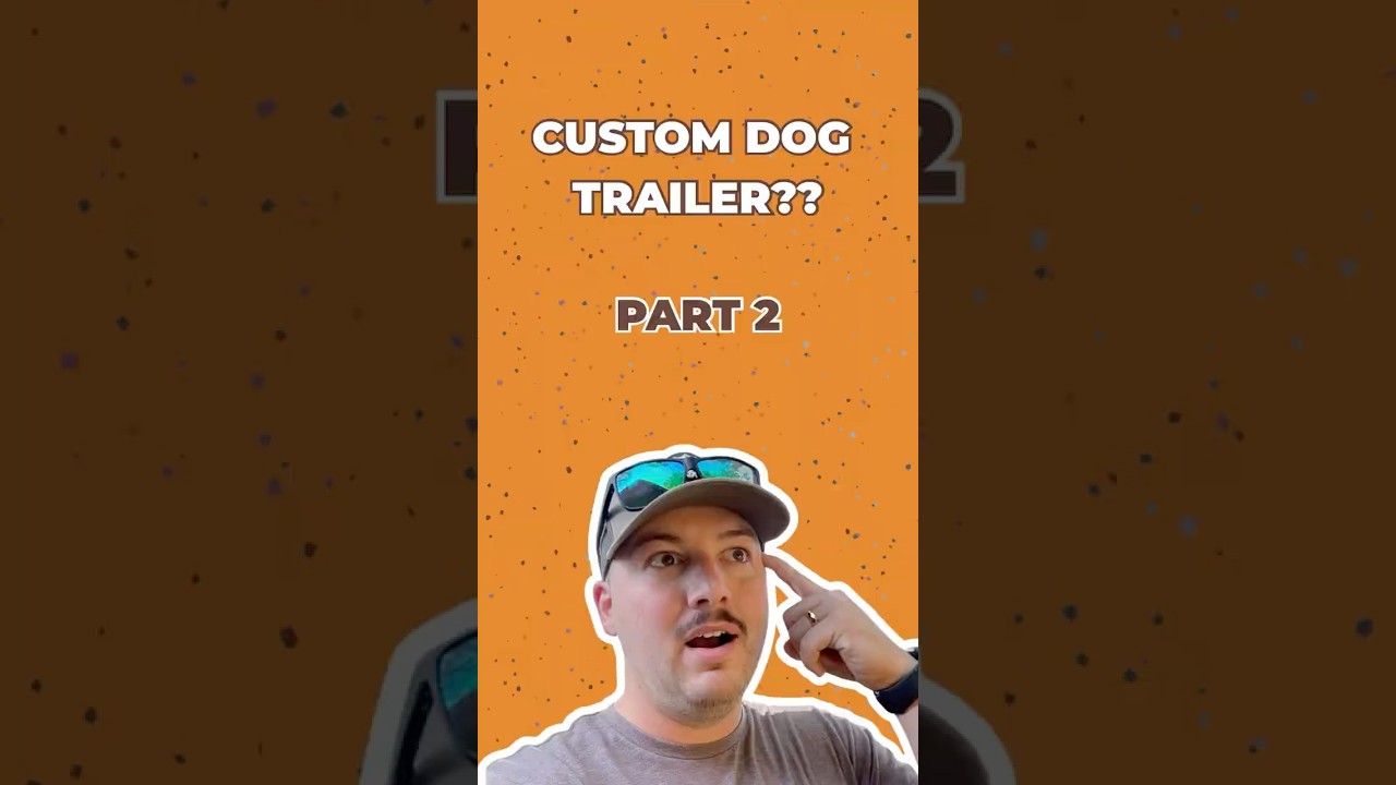 Wing Trips, Tips, & Updates