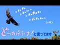 【誰でも簡単】カラスのおもしろ通訳法★ & とんでもない生物量の東京都の里山