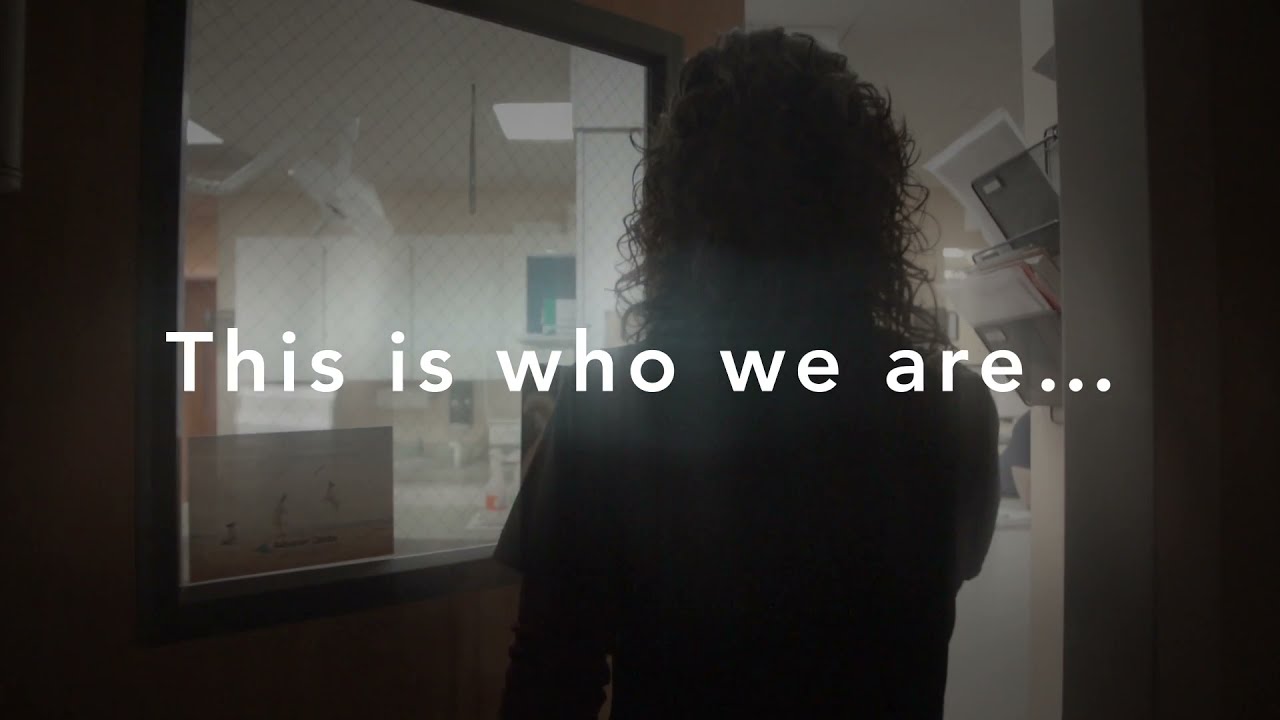 Greenfield Animal Hospital Team Dedication Video