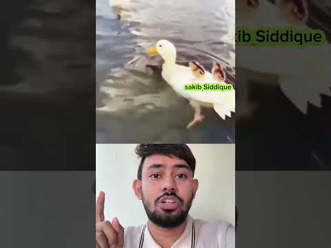 Rywher Facebookviral Eve OMG Onlineshopping StarsEverywhere Fac Everywhere Stars Every 