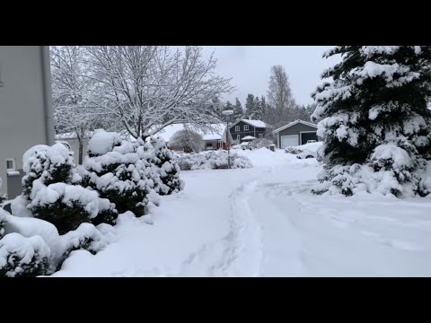 فيديو: الطقس والمناخ في فنلندا