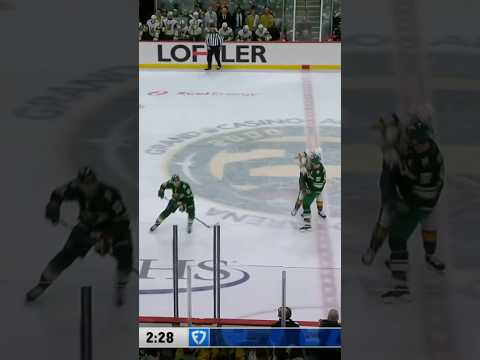 Moose doing what Moose does