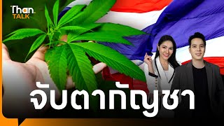 กัญชาไทย กลับไปกลับมา | THANTALK | 22 พ.ค. 67