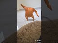 ساقني ياسقني ياغزال ولعتني 