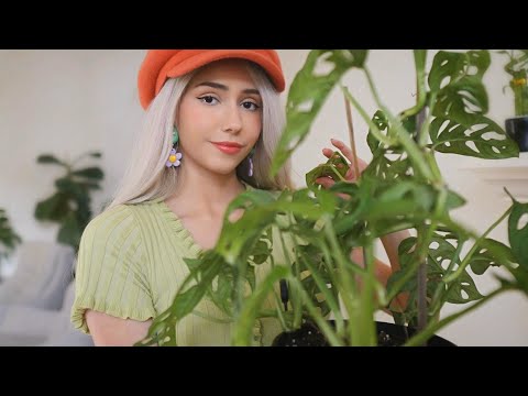 ASMR - Houseplant Tour (showing you my babies & while relaxing you, whispered and soft spoken 🌱)