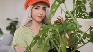 ASMR - Houseplant Tour (showing you my babies & while relaxing you, whispered and soft spoken 🌱)