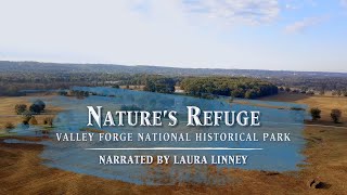 Nature's Refuge: Valley Forge National Historical Park
