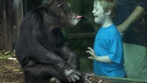 *Try Not To Laugh Challenge* Funny Kids Vines Compilation 2016 | Funniest Kids Videos