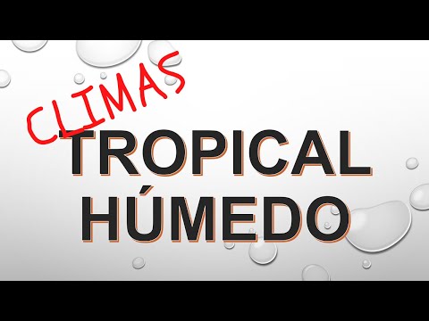 Vídeo: Quin és el clima a la regió tropical?