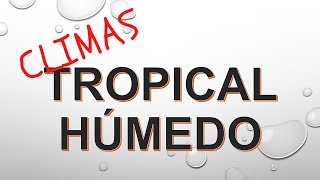 ¿Cómo es el clima tropical húmedo?
