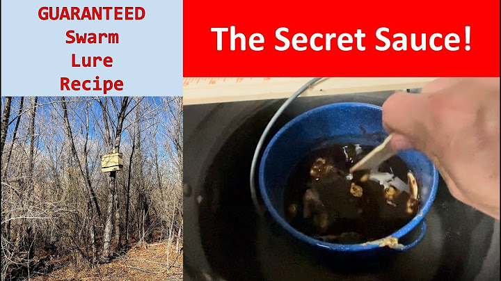 Caught 27 Swarms!  How to Lure a Swarm Bait Hive Trap