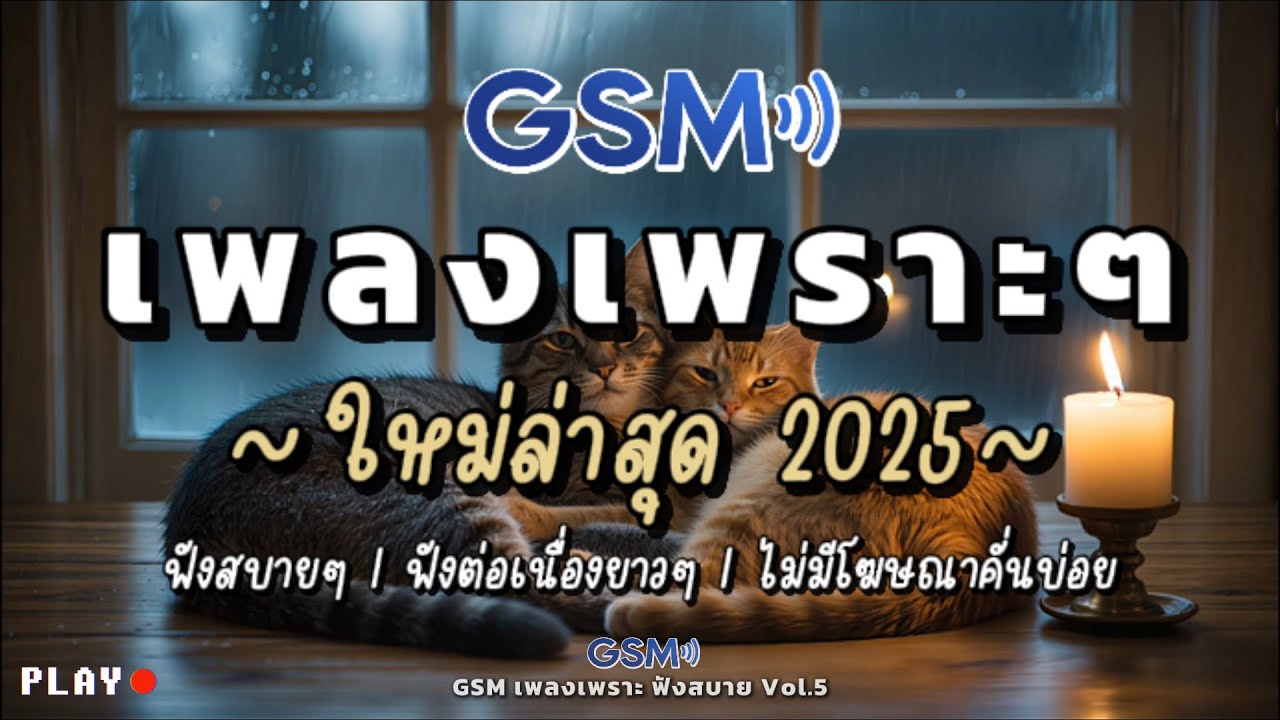 รวมเพลงเพราะๆ ฟังสบาย 2025 | เพลงใหม่ล่าสุด ไม่มีโฆษณาคั่นบ่อย | Vol.5