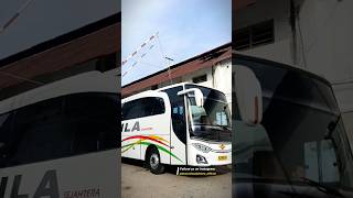 Jetbus 3 Hd Single Gl Travego Bus Mila Sejahtera Patas Jember - Surabaya Pp