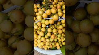 নরসিংদী জেলা#shorts #fishing #video #youtubeshorts