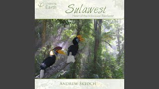 Download Lagu Piping Crows