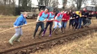 Bank of Ireland & Young Farmers 'Pull a Plough' Competition