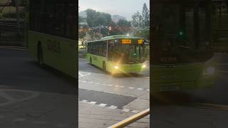 [SMRT] SG1813C 187 - MAN A22 Euro 6